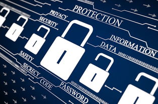 構(gòu)建三位一體的網(wǎng)絡(luò)安全防線 人員、流程與技術(shù)在軟件開(kāi)發(fā)中的融合